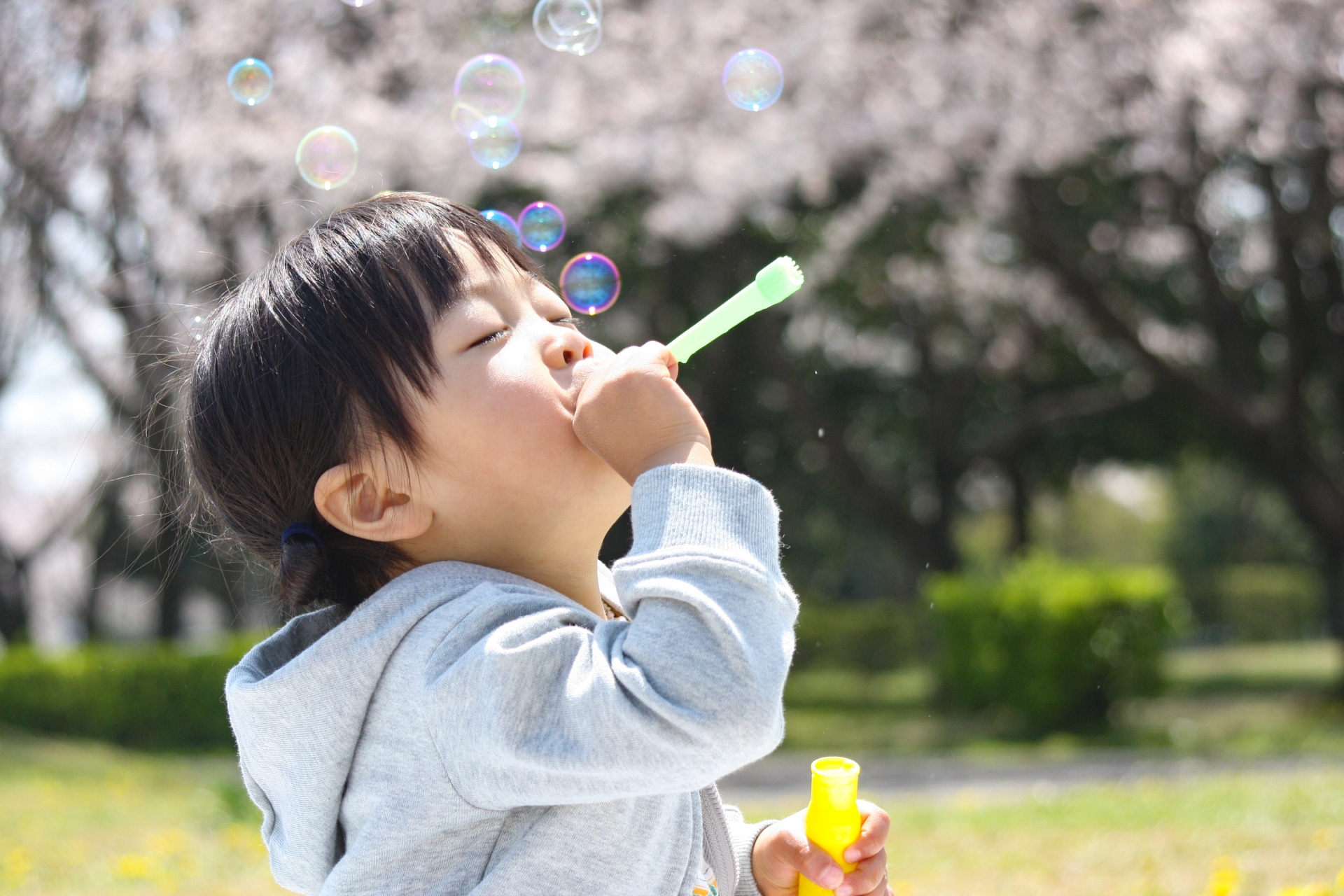 4歳児との向き合い方 4歳の壁 反抗期 の子どもにどうやって接する 胎教 幼児教育なら幼児教室ヘーグル 右脳開発でお子様の才能を開花